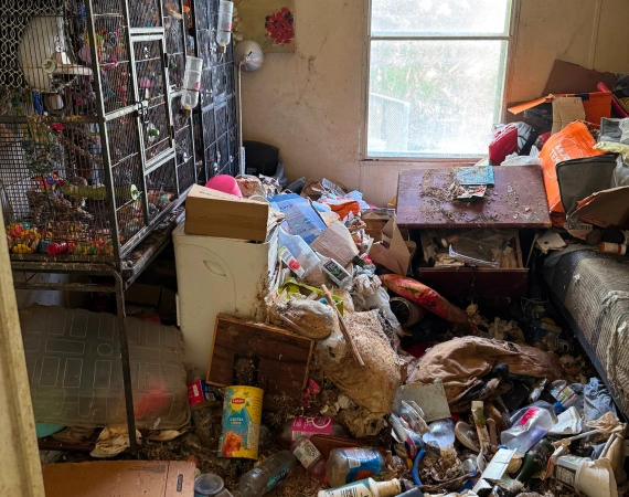 Hoarding Cleanouts