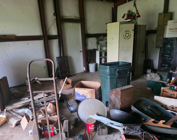 Whole Home Cleanouts